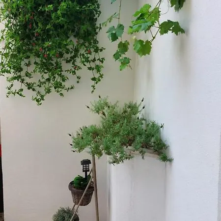 Appartement Mirona -